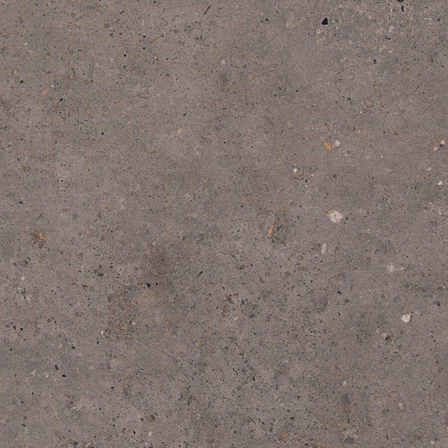 Dlažba Pastorelli Biophilic dark grey 60x60